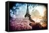 Eiffel Tower - Paris - France - Europe-Philippe Hugonnard-Framed Stretched Canvas