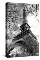 Eiffel Tower - Paris - France - Europe-Philippe Hugonnard-Stretched Canvas