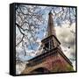 Eiffel Tower - Paris - France - Europe-Philippe Hugonnard-Framed Stretched Canvas