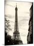 Eiffel Tower, Paris, France - Sepia - Tone Vintage Photography-Philippe Hugonnard-Mounted Photographic Print