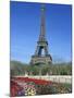 Eiffel Tower, Paris, France-Guy Thouvenin-Mounted Photographic Print