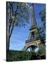 Eiffel Tower, Paris, France-Guy Thouvenin-Stretched Canvas