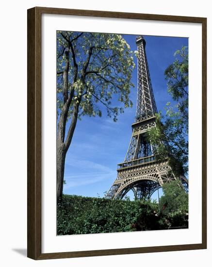 Eiffel Tower, Paris, France-Guy Thouvenin-Framed Photographic Print