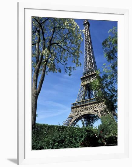 Eiffel Tower, Paris, France-Guy Thouvenin-Framed Photographic Print