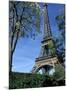 Eiffel Tower, Paris, France-Guy Thouvenin-Mounted Photographic Print