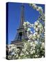 Eiffel Tower, Paris, France-Guy Thouvenin-Stretched Canvas