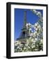 Eiffel Tower, Paris, France-Guy Thouvenin-Framed Photographic Print