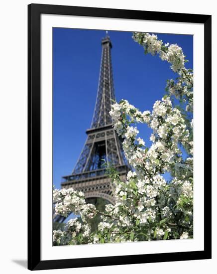 Eiffel Tower, Paris, France-Guy Thouvenin-Framed Photographic Print