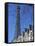 Eiffel Tower, Paris, France-Guy Thouvenin-Framed Stretched Canvas