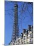 Eiffel Tower, Paris, France-Guy Thouvenin-Mounted Photographic Print