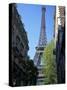 Eiffel Tower, Paris, France-Guy Thouvenin-Stretched Canvas