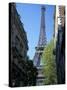 Eiffel Tower, Paris, France-Guy Thouvenin-Stretched Canvas