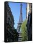 Eiffel Tower, Paris, France-Guy Thouvenin-Framed Stretched Canvas