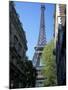 Eiffel Tower, Paris, France-Guy Thouvenin-Mounted Photographic Print