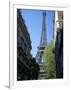 Eiffel Tower, Paris, France-Guy Thouvenin-Framed Photographic Print