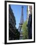 Eiffel Tower, Paris, France-Guy Thouvenin-Framed Photographic Print