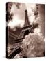 Eiffel Tower, Paris, France-Jon Arnold-Stretched Canvas