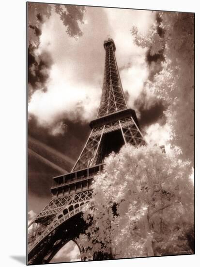 Eiffel Tower, Paris, France-Jon Arnold-Mounted Photographic Print