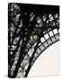 Eiffel Tower, Paris, France-Jon Arnold-Stretched Canvas