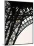 Eiffel Tower, Paris, France-Jon Arnold-Mounted Photographic Print