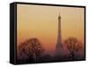 Eiffel Tower, Paris, France-David Barnes-Framed Stretched Canvas
