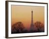 Eiffel Tower, Paris, France-David Barnes-Framed Photographic Print