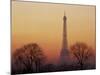 Eiffel Tower, Paris, France-David Barnes-Mounted Photographic Print