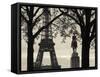 Eiffel Tower, Paris, France-Walter Bibikow-Framed Stretched Canvas