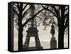 Eiffel Tower, Paris, France-Walter Bibikow-Framed Stretched Canvas