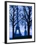 Eiffel Tower, Paris, France-Walter Bibikow-Framed Photographic Print