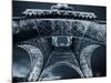 Eiffel Tower, Paris, France-Jon Arnold-Mounted Photographic Print