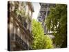 Eiffel Tower, Paris, France-Jon Arnold-Stretched Canvas