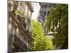 Eiffel Tower, Paris, France-Jon Arnold-Mounted Photographic Print