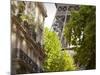 Eiffel Tower, Paris, France-Jon Arnold-Mounted Photographic Print