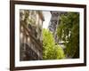 Eiffel Tower, Paris, France-Jon Arnold-Framed Photographic Print