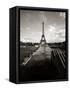 Eiffel Tower, Paris, France-Murat Taner-Framed Stretched Canvas