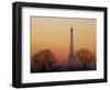 Eiffel Tower, Paris, France-David Barnes-Framed Photographic Print