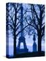 Eiffel Tower, Paris, France-Walter Bibikow-Stretched Canvas