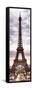 Eiffel Tower, Paris, France-Philippe Hugonnard-Framed Stretched Canvas