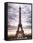 Eiffel Tower, Paris, France-Philippe Hugonnard-Framed Stretched Canvas