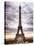 Eiffel Tower, Paris, France-Philippe Hugonnard-Stretched Canvas