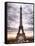 Eiffel Tower, Paris, France-Philippe Hugonnard-Framed Stretched Canvas