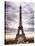 Eiffel Tower, Paris, France-Philippe Hugonnard-Stretched Canvas