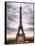 Eiffel Tower, Paris, France-Philippe Hugonnard-Framed Stretched Canvas