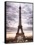 Eiffel Tower, Paris, France-Philippe Hugonnard-Framed Stretched Canvas