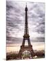 Eiffel Tower, Paris, France-Philippe Hugonnard-Mounted Photographic Print