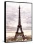 Eiffel Tower, Paris, France-Philippe Hugonnard-Framed Stretched Canvas