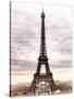 Eiffel Tower, Paris, France-Philippe Hugonnard-Stretched Canvas