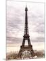 Eiffel Tower, Paris, France-Philippe Hugonnard-Mounted Photographic Print