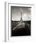 Eiffel Tower, Paris, France-Murat Taner-Framed Photographic Print